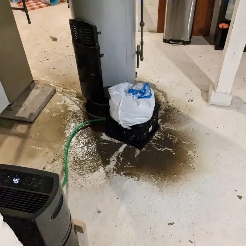 Sewage Backup Cleanup Service in Burkesville, KY